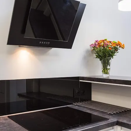 Nadwislanska With Air Conditioning Near Kazimierz By Renters * Krakow