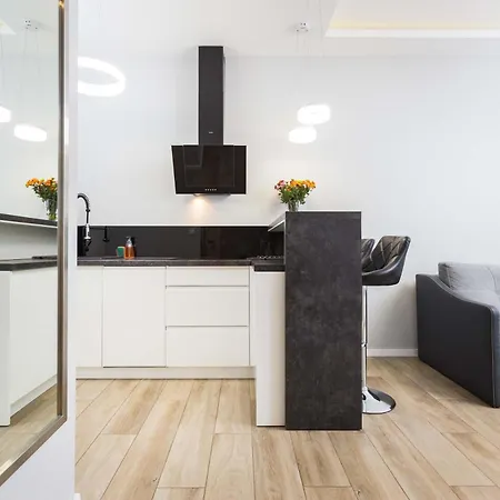 Nadwislanska With Air Conditioning Near Kazimierz By Renters * Krakow